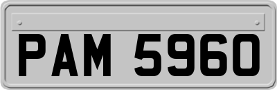 PAM5960