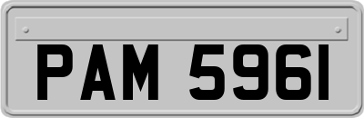 PAM5961