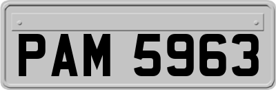 PAM5963