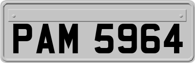 PAM5964