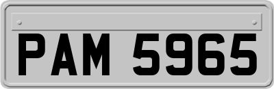 PAM5965