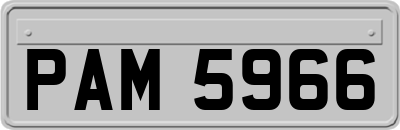 PAM5966