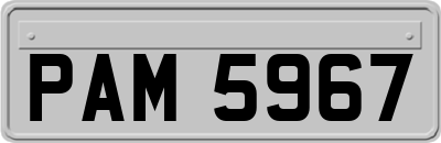 PAM5967
