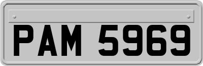 PAM5969
