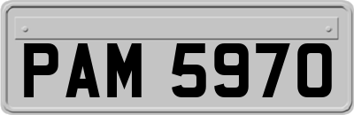 PAM5970