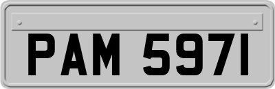 PAM5971