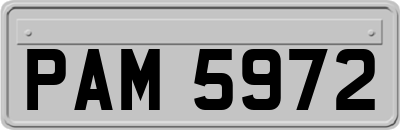 PAM5972