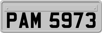 PAM5973