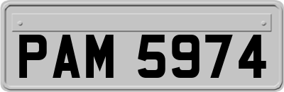 PAM5974
