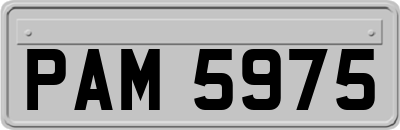 PAM5975