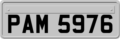 PAM5976