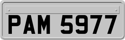 PAM5977