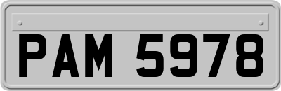 PAM5978