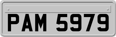 PAM5979