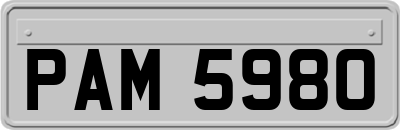 PAM5980