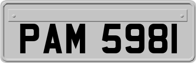 PAM5981