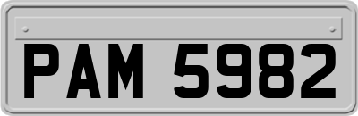 PAM5982
