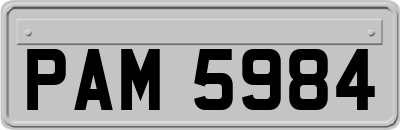 PAM5984