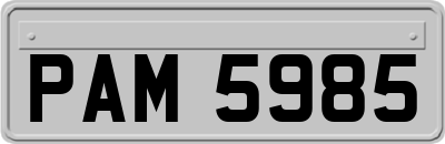 PAM5985