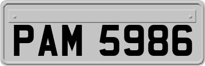 PAM5986