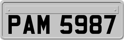 PAM5987