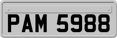 PAM5988