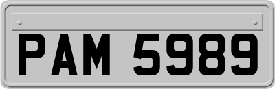 PAM5989