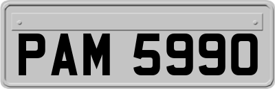 PAM5990