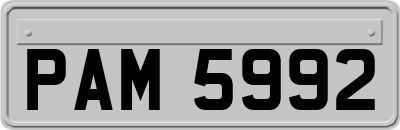 PAM5992
