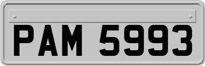 PAM5993