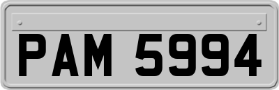 PAM5994