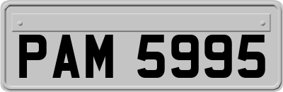 PAM5995