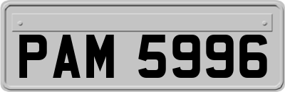 PAM5996
