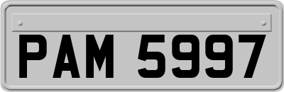 PAM5997