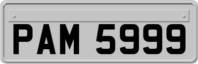 PAM5999