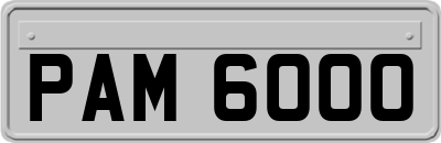 PAM6000