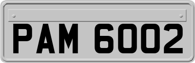 PAM6002
