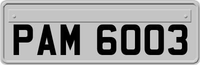 PAM6003