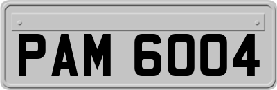 PAM6004