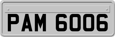 PAM6006
