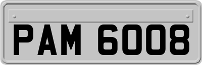 PAM6008