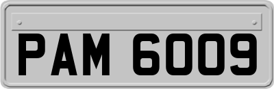 PAM6009