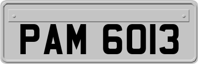 PAM6013