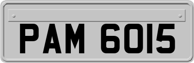 PAM6015