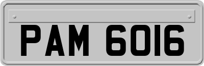 PAM6016