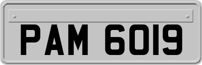 PAM6019