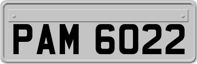 PAM6022