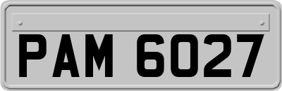PAM6027