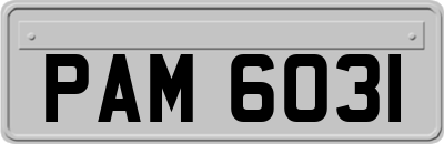 PAM6031