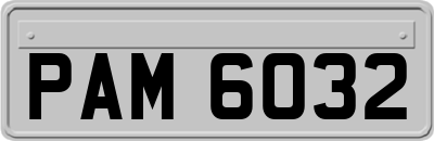 PAM6032